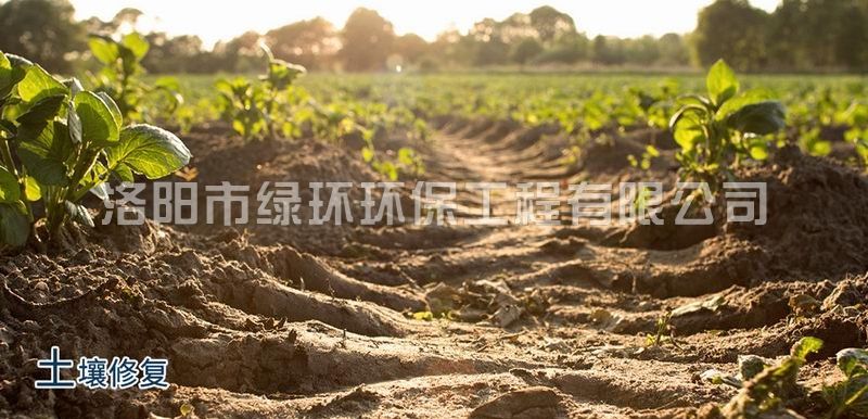首页-玛雅吧-「品质引领发展,专一成就将来」